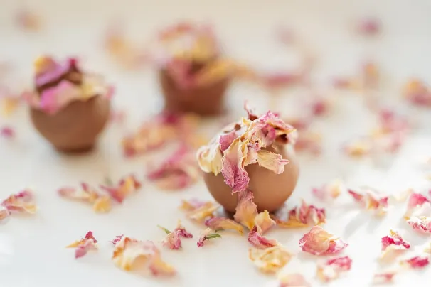 Kasyno Sun Palace Aplikacja Android/iOS